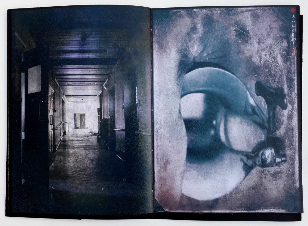 Photographies extraites du livre d'art Le Pavillon des Conjurations d'Alain Trehard