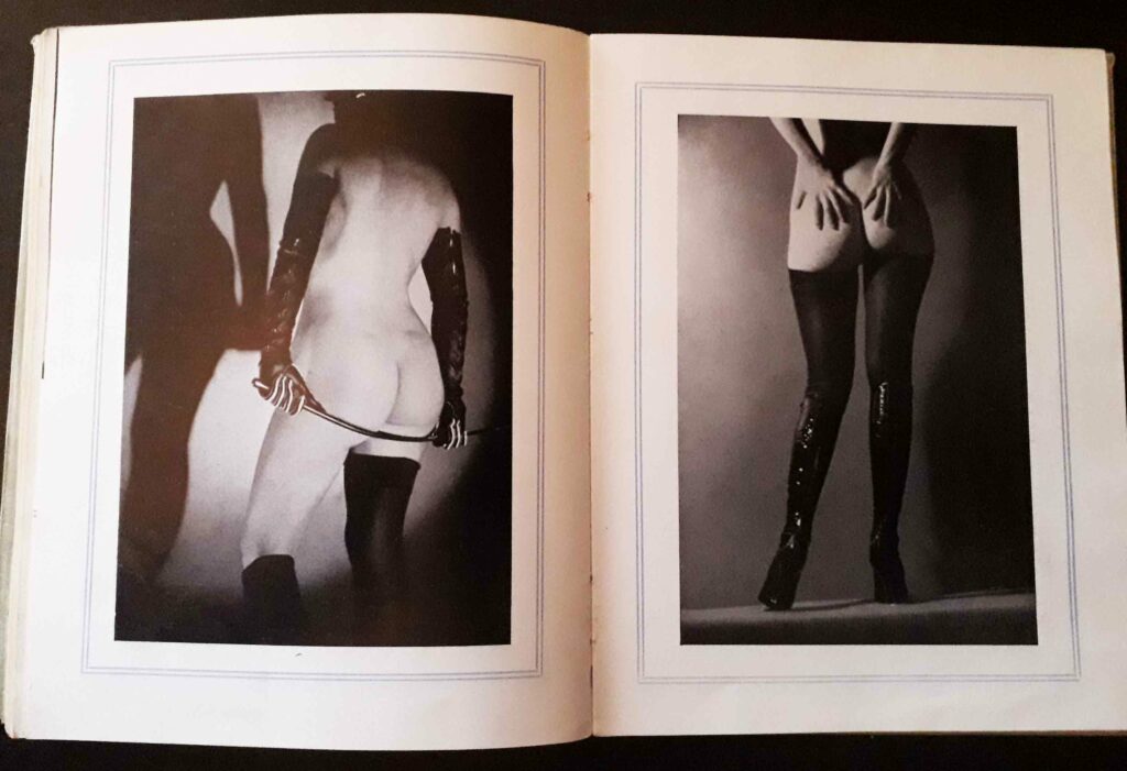 Femmes aux fesses nues en lingerie sexy