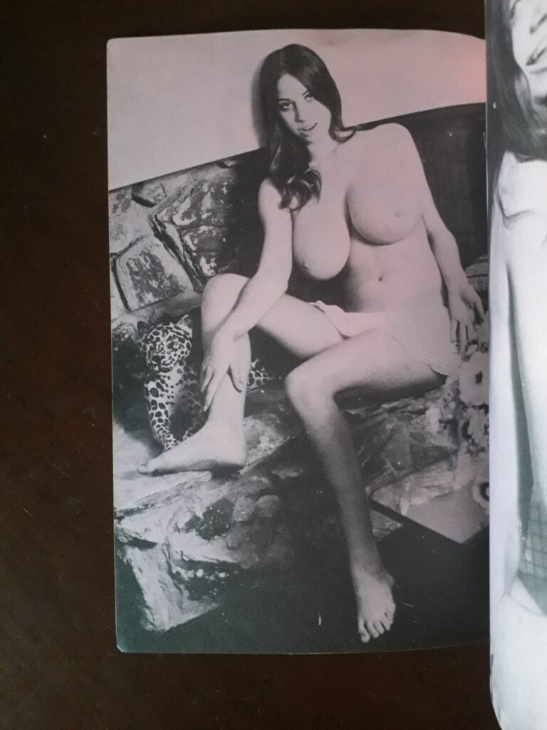 Photo érotique vintage d'une femme brune nue aux gros seins dans la revue Danish Au Pair n°1, Pennine Magazines