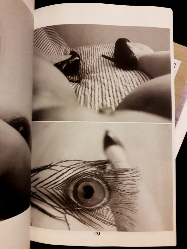 Photo de jambes d'une femme en talons par Anne SOmetimes dans Eros mécanique de Hector Domiane