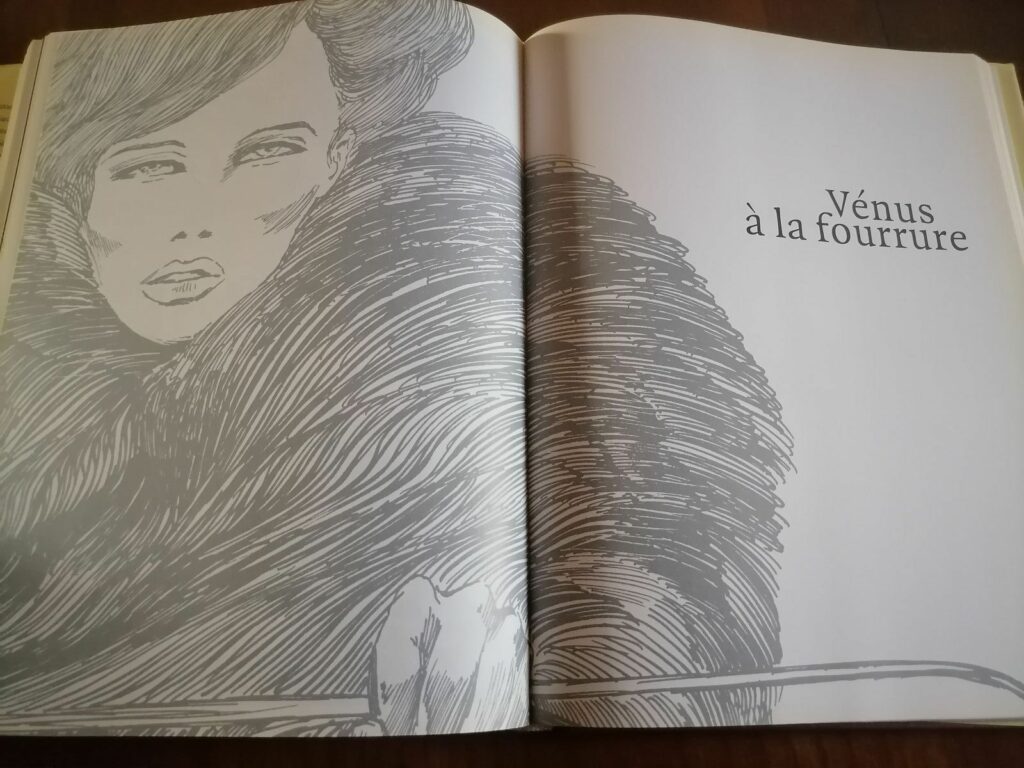 Ouverture de la BD érotique Vénus à la fourrure de Guido Crepax dans le livre publié aux éditions Evergreen