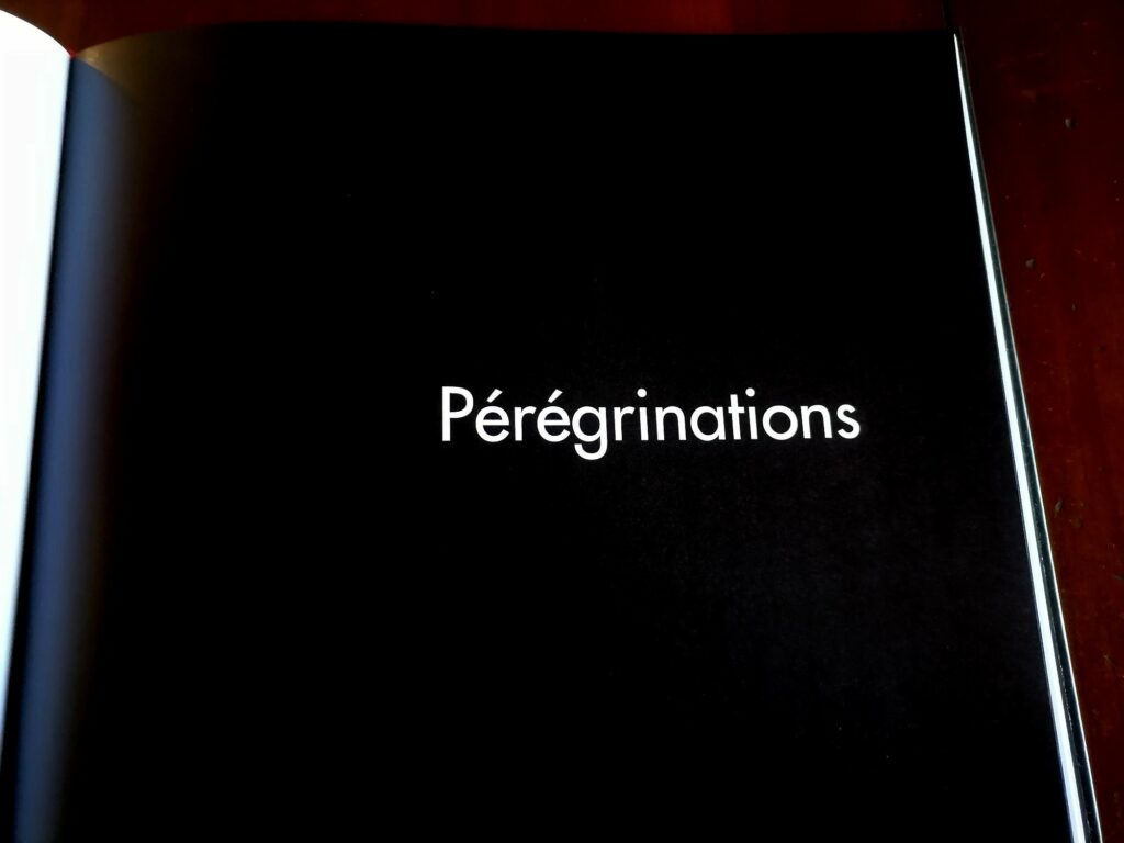 Chapitre Pérégrinations dans le livre Hôtel de la Providence, recueil de dessins érotique de Rajah Foo aux éditions de la Première Heure