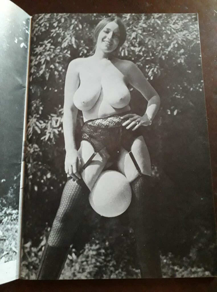 Photo érotique années 60 d'une femme en bas belle poitrine dans Nylon Surprise n°34