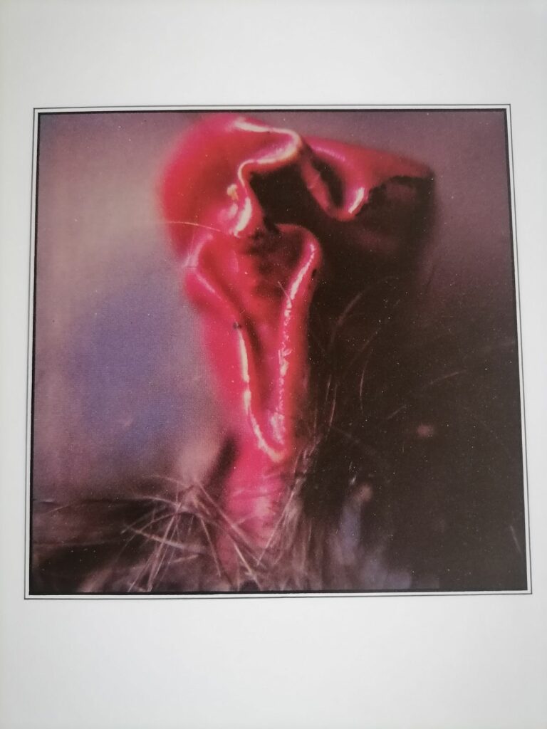 Photo de Richard Cerf extraite du livre Photographies, aux éditions Natiris