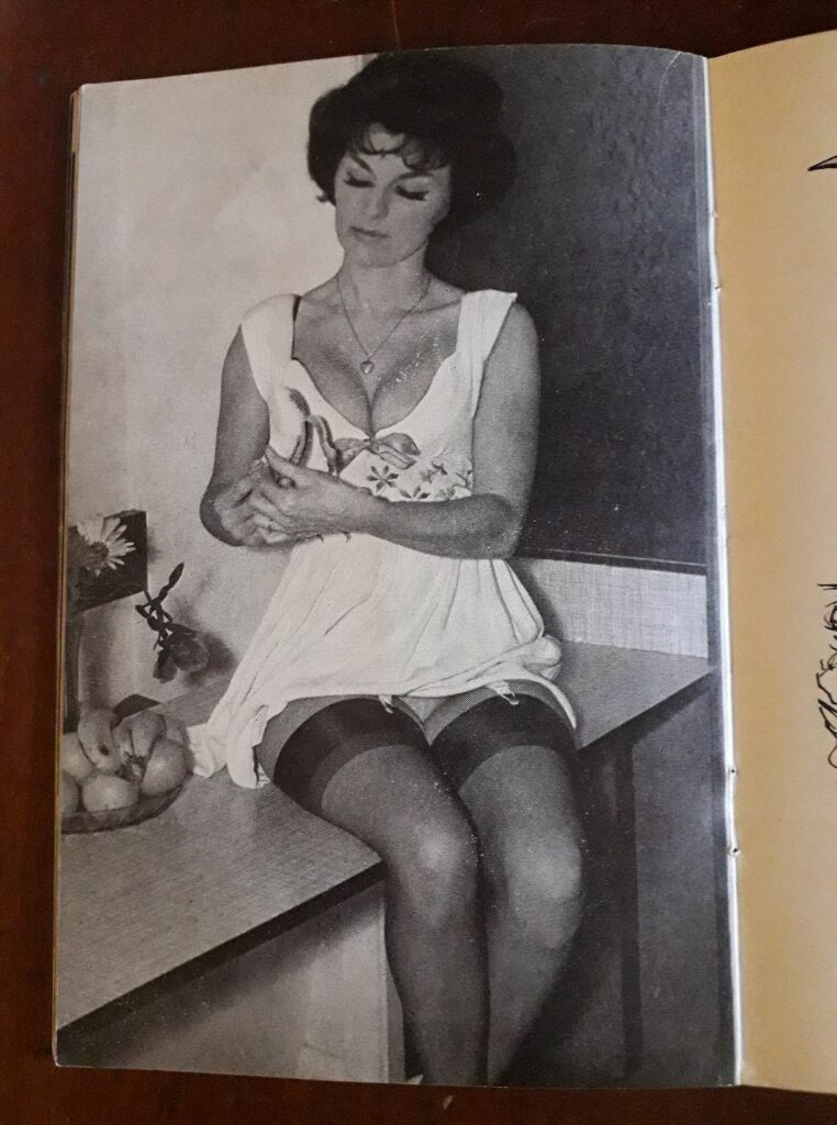 Photo érotique vintage 1960 femme brune en bas dans la revue Span, éditions ToCO