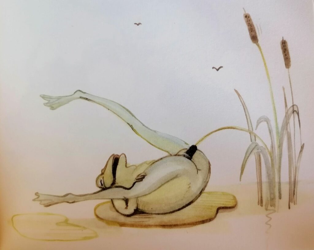 Dessin érotique d'une grenouille se masturbant avec une plante par Tomi Ungerer dans Frogs and Flowers