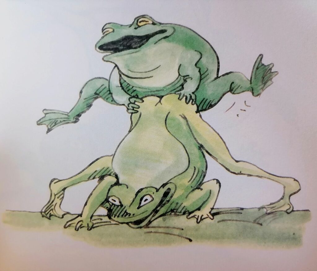 Dessin érotique de deux grenouilles en pleins ébats par Tomi Ungerer dans Frogs and Flowers