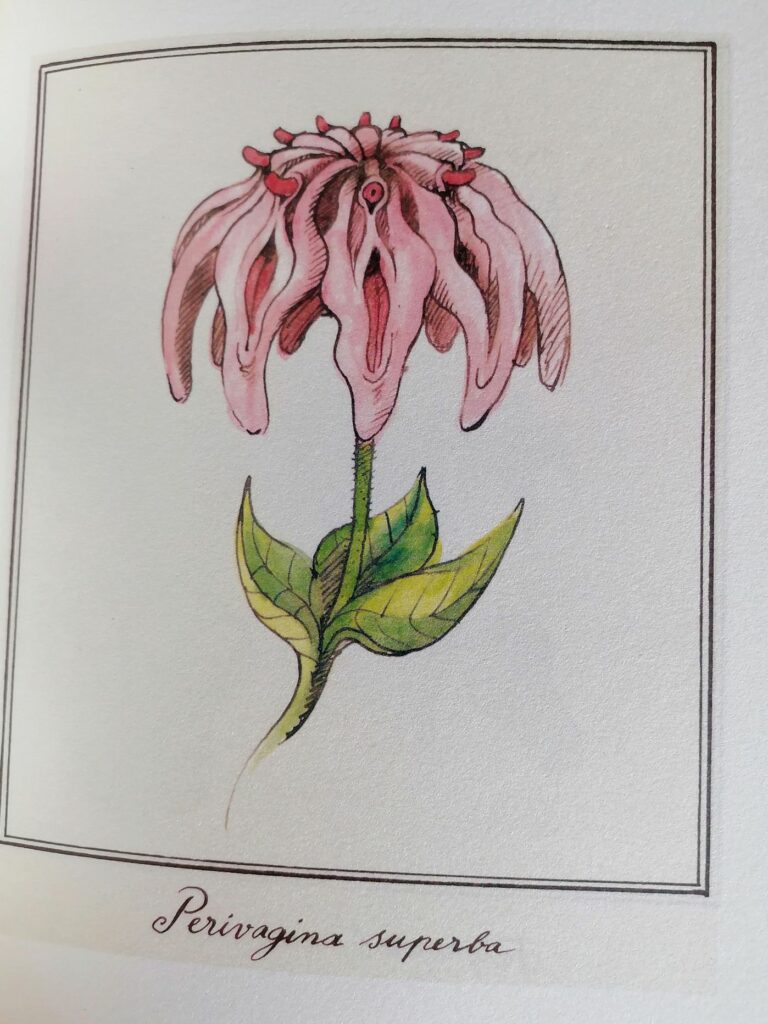 Dessin d'une fleur composée de sexes de femme par Tomi Ungerer dans Frogs and Flowers
