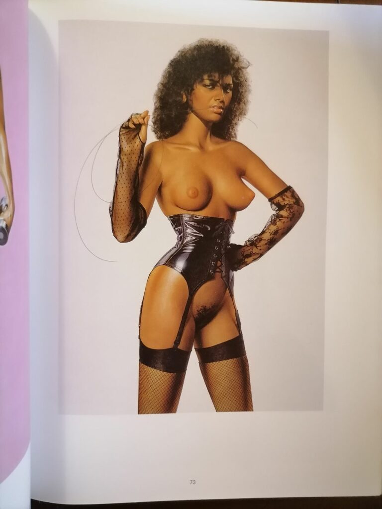 Dessin érotique de Hajime Sorayama, éditions Taco, 1989