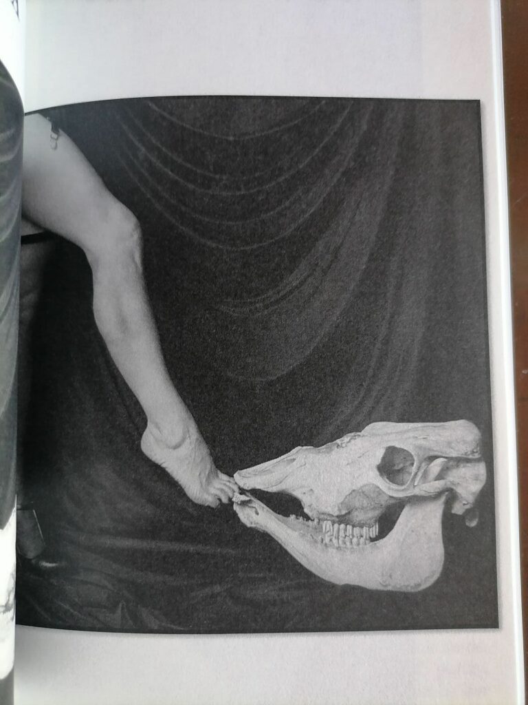 Photo de Oriana pour Eros mécanique n°12